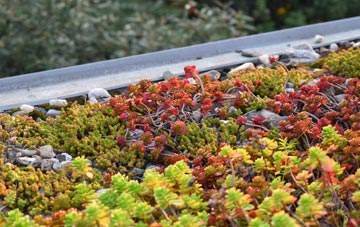 the cost of Mount Tabor green roof installation