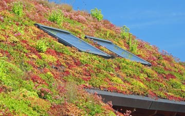 Mount Tabor living roof systems
