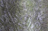 Mount Tabor fibreglass roof work